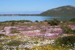 At The Rocks Langebaan Exterior foto